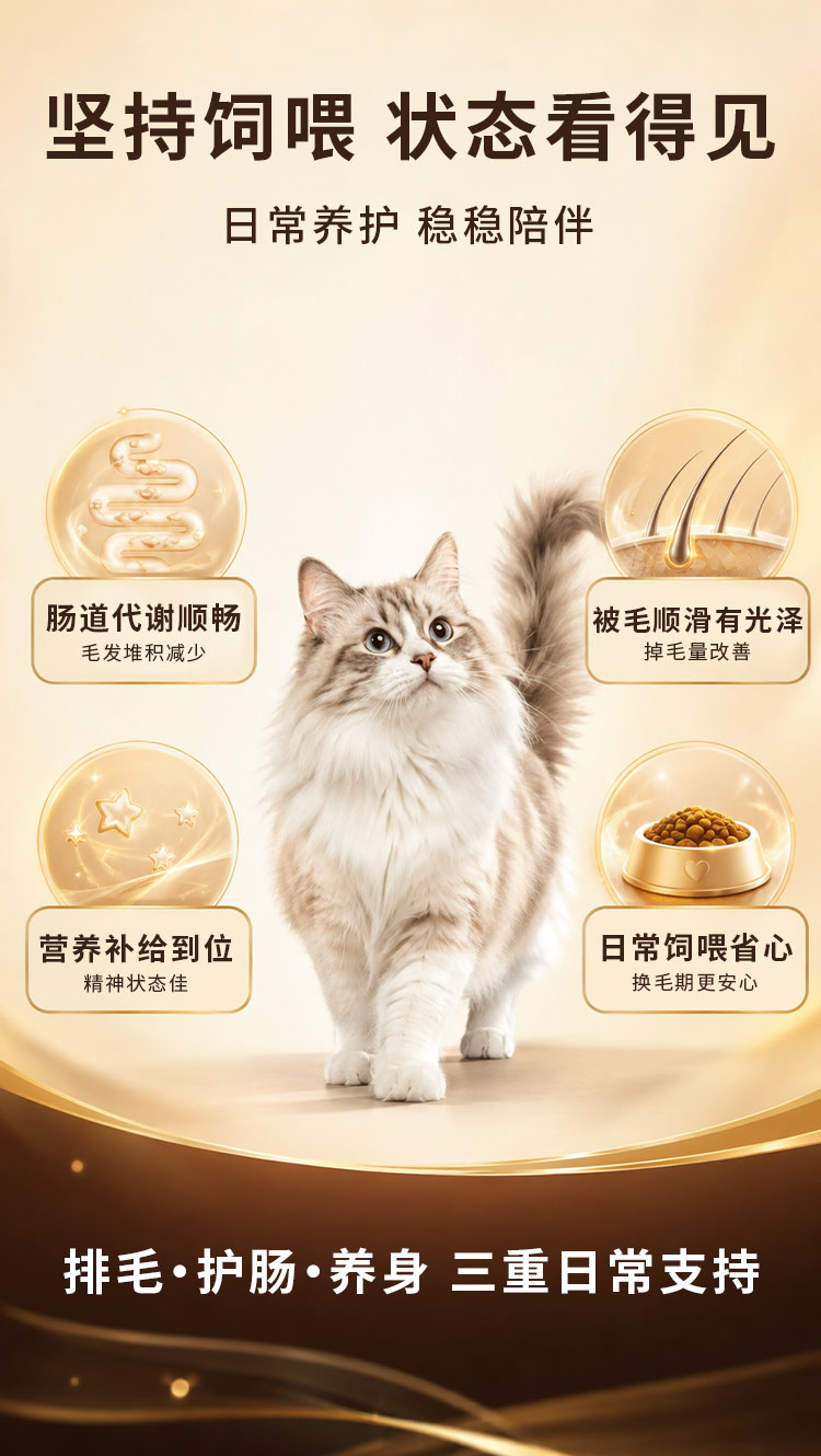 商品详情图9