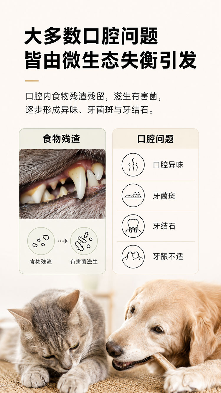 商品详情图2