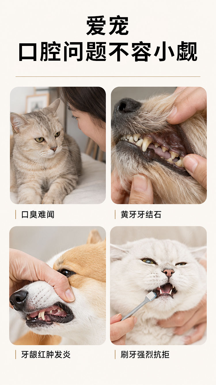 商品详情图3