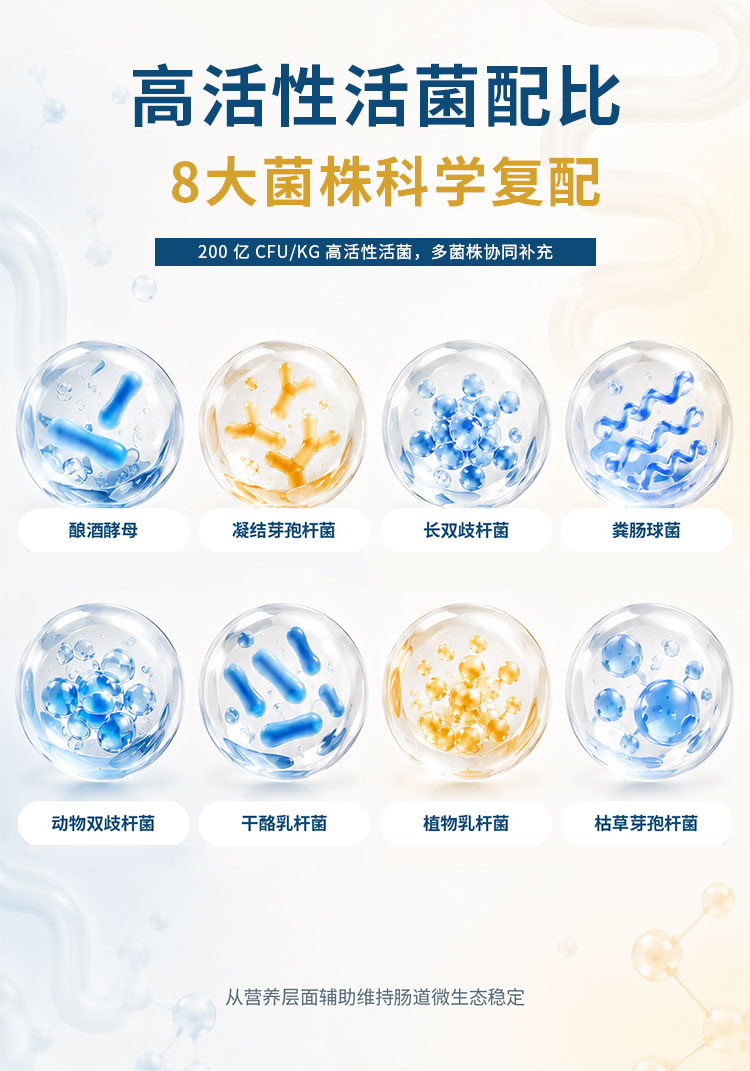 商品详情图3